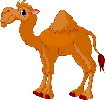 El camello indiscreto