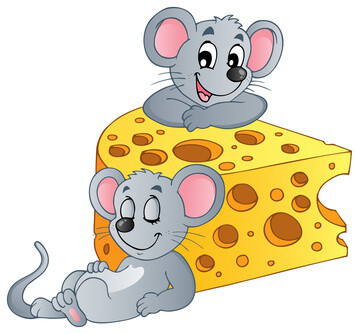 Rimo, Romi y el queso