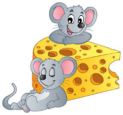 Rimo, Romi y el queso