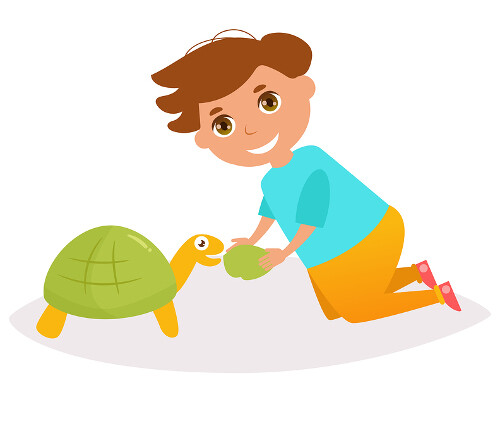 Carlos y la tortuga