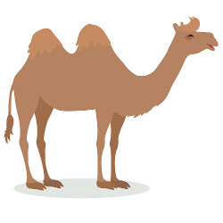 El camello extraviado
