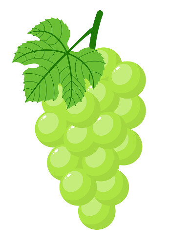 El ladrón de uvas