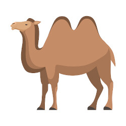 El desaparición de los camellos del señor Pepe