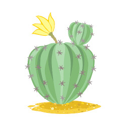 Las flores y el cactus