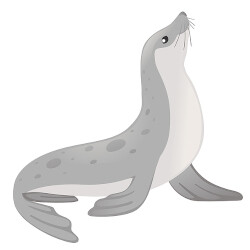 La foca con gingivitis