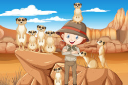 Amanda y los suricatos